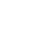 P2 White Logo